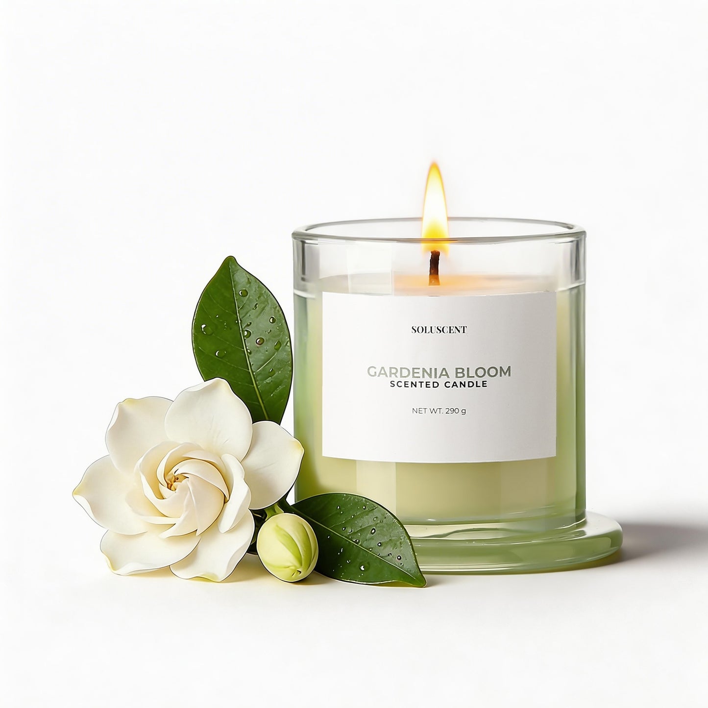 Gardenia Bloom