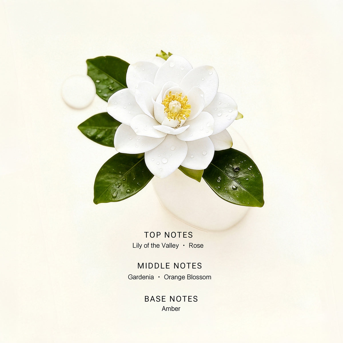 Gardenia Bloom — Fragrance Notes